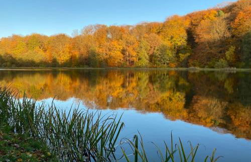 Ferienhaus am See -Teichanlage Kern - Foto 10
