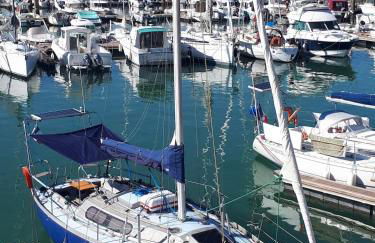 Sailboat land and sea, vegetated - Foto 1