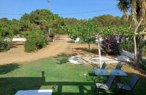 Sofia's Yard House - Foto 28