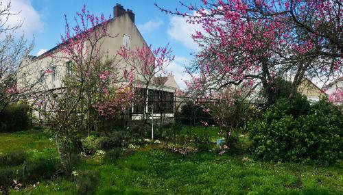La Ptite Fabrique chez Malot - Foto 2, Garden, Garden view