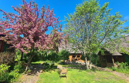 Cisowe Wzgórze - Foto 34