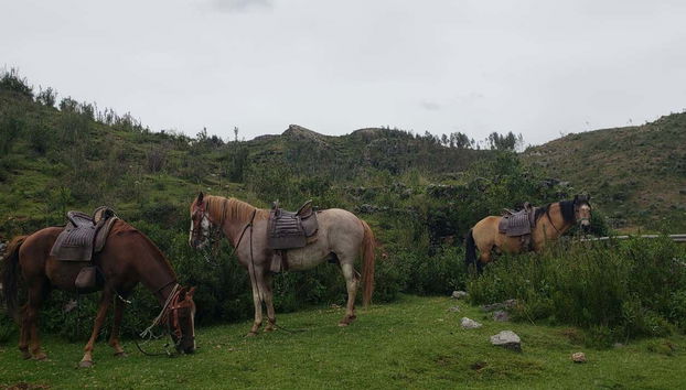 Faremos paradas para descansar