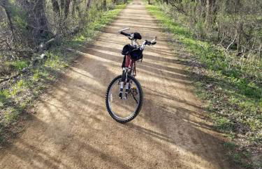 Cozy Creekside Cabin Rental for a Secluded Weekend Getaway in Wisconsin - Foto 6