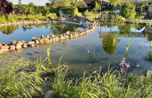 Scheune Zauchwitz - Foto 36