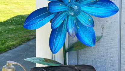 Sq Seashells Nest - Photo 3