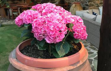 Villa Casa Avocado - Photo 58