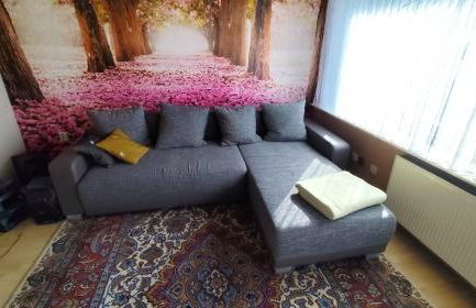 Ferienhaus mit Charme am Rennsteig - mit Sauna&Holzofen - Foto 27