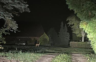 Apartament w XIX-wiecznym Spichlerzu nad Jeziorem z dostępem do parku i widokiem na Dworek Modrzewiowy z 1823 roku - Foto 39