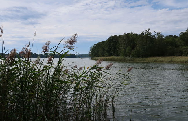 Am Pälitzsee - Foto 22