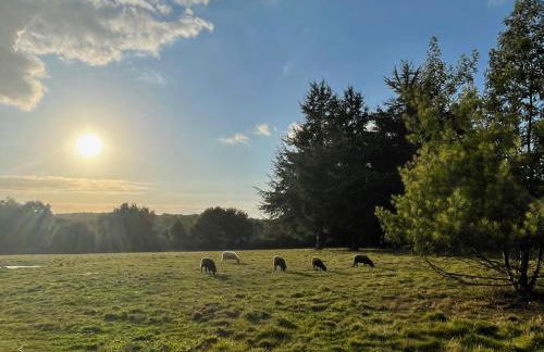 Les Hauts de Locmiquel apartment with private heated pool - Photo 54