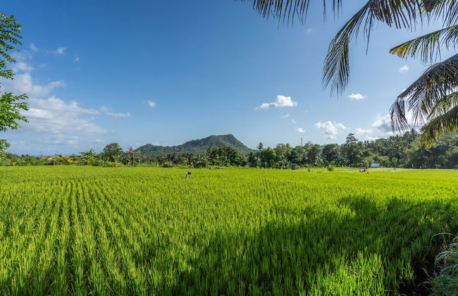Pondok Carik Villa - Foto 21
