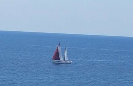 Algarve/Sra da Rocha - Foto 30