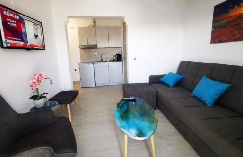 Anthis Studios - Foto 14