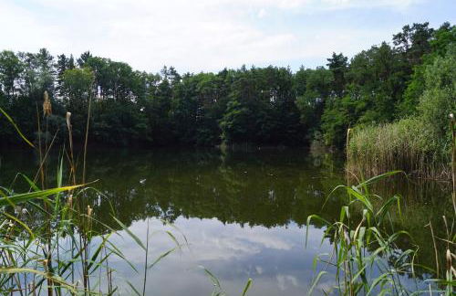 Ferienwohnung Rehagen Süd - Photo 15