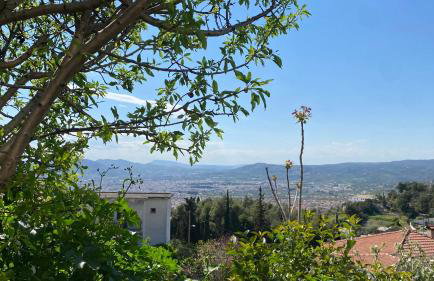 Afroditi Guest house Ano Volos - Foto 46