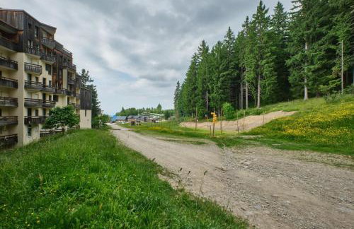 Prapoutel pied des pistes - Foto 13