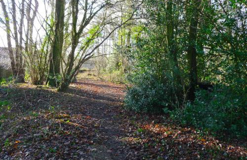 The Goyle-E4528 - Foto 16