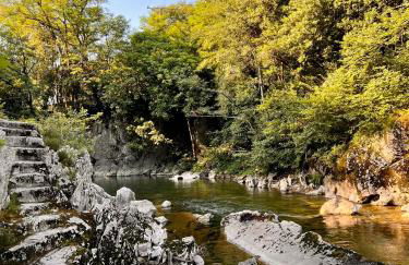 Casona Puente Viesgo - Monabri - Foto 73