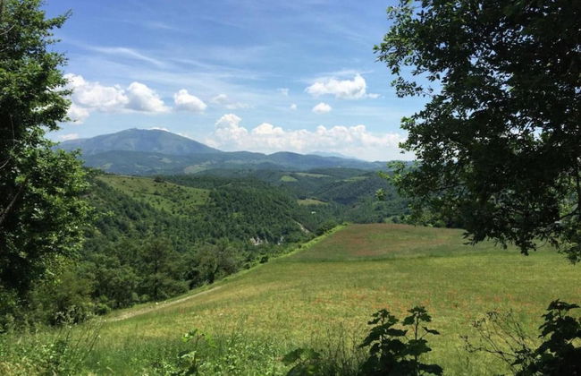 Timeless Holiday Home in Apecchio With Garden - Photo 60