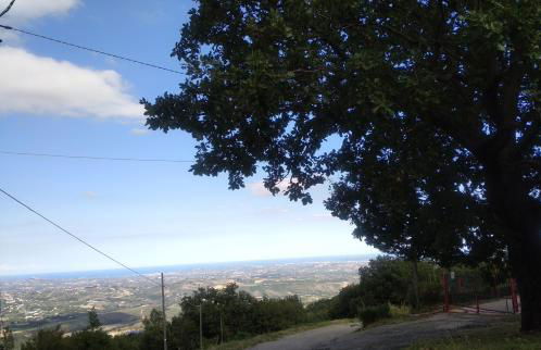 Villa Maria Pia - Foto 15