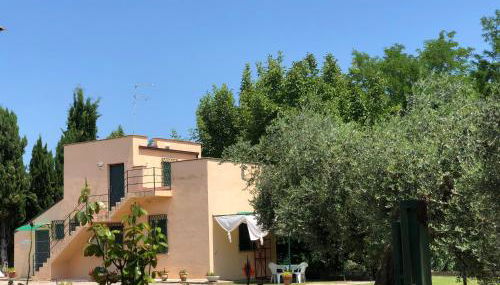 Adamasseria - Foto 4