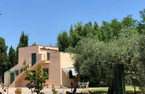 Adamasseria - Foto 4