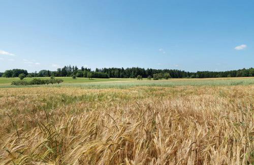 Ferienwohnung Hagen - Photo 28