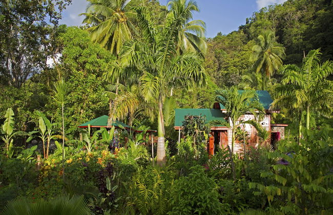 Citrus Creek Plantation - Photo 32