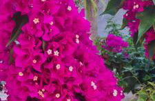 Casa Ladena - Foto 33