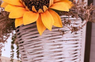 The Sunflower - Foto 2