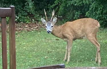 Ferienhaus Karlsminde - Foto 30