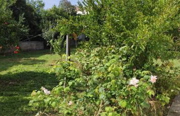 Garden house - Photo 80