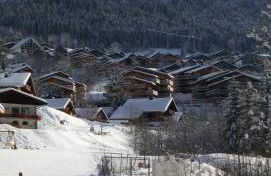 Le Savoyard - Photo 28