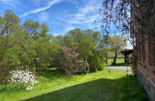 Jeleńczówka Alte Dorfschule - Foto 34