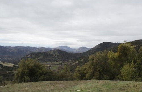 Hummingbird Hill - Entire Cabin - Foto 43