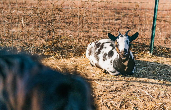 La Tenuta di Santo Stefano Agri Resort & Spa - Photo 58