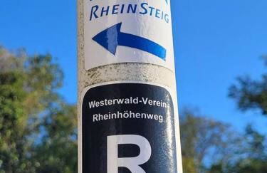 Rheinauszeit - Foto 32