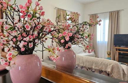 SUNSET VILLA MILOS pera triovasalos - Foto 31