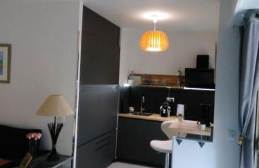 NICE- GAIRAUT - JARDIN PRIVE- GRAND F1 LUMINEUX-Piscine Collective - Foto 15