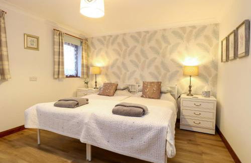 Kingfisher - Foto 11