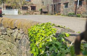 The Old Stable at Blackshaw Farm - Foto 21