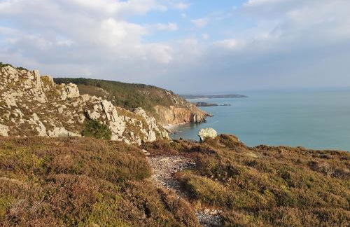 Gites de lardanva - Foto 47