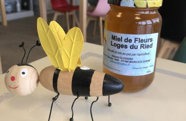 Les Loges Du Ried - Studios & Appartements proche Europapark - Foto 19