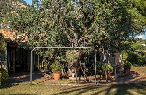 Castillo Meng - Foto 31