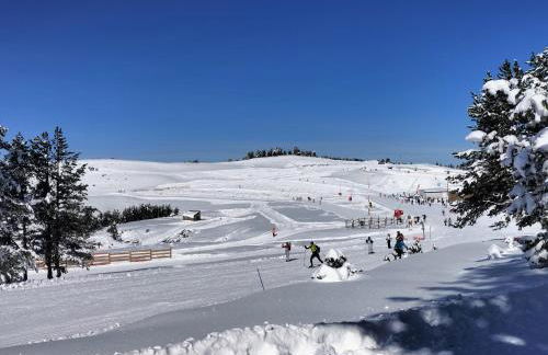 Le Gîte des Trois Seigneurs - Photo 22