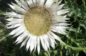 Ferienwohnung Auszeit - Foto 26