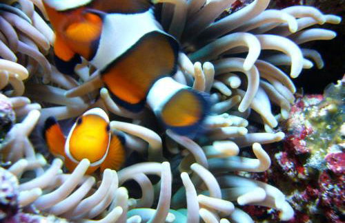 Stylish,luxury duplex Paris city center - Foto 21