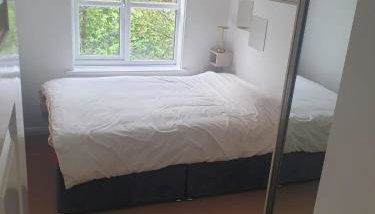 Peaceful room on sharing flat in Wimbledon - Foto 3