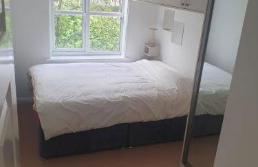Peaceful room on sharing flat in Wimbledon - Foto 3