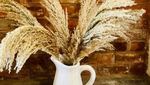 Bluebell Cottage - Foto 4